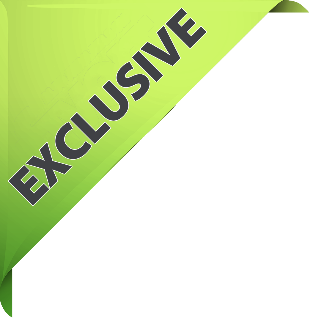 Spotify Canvas Features