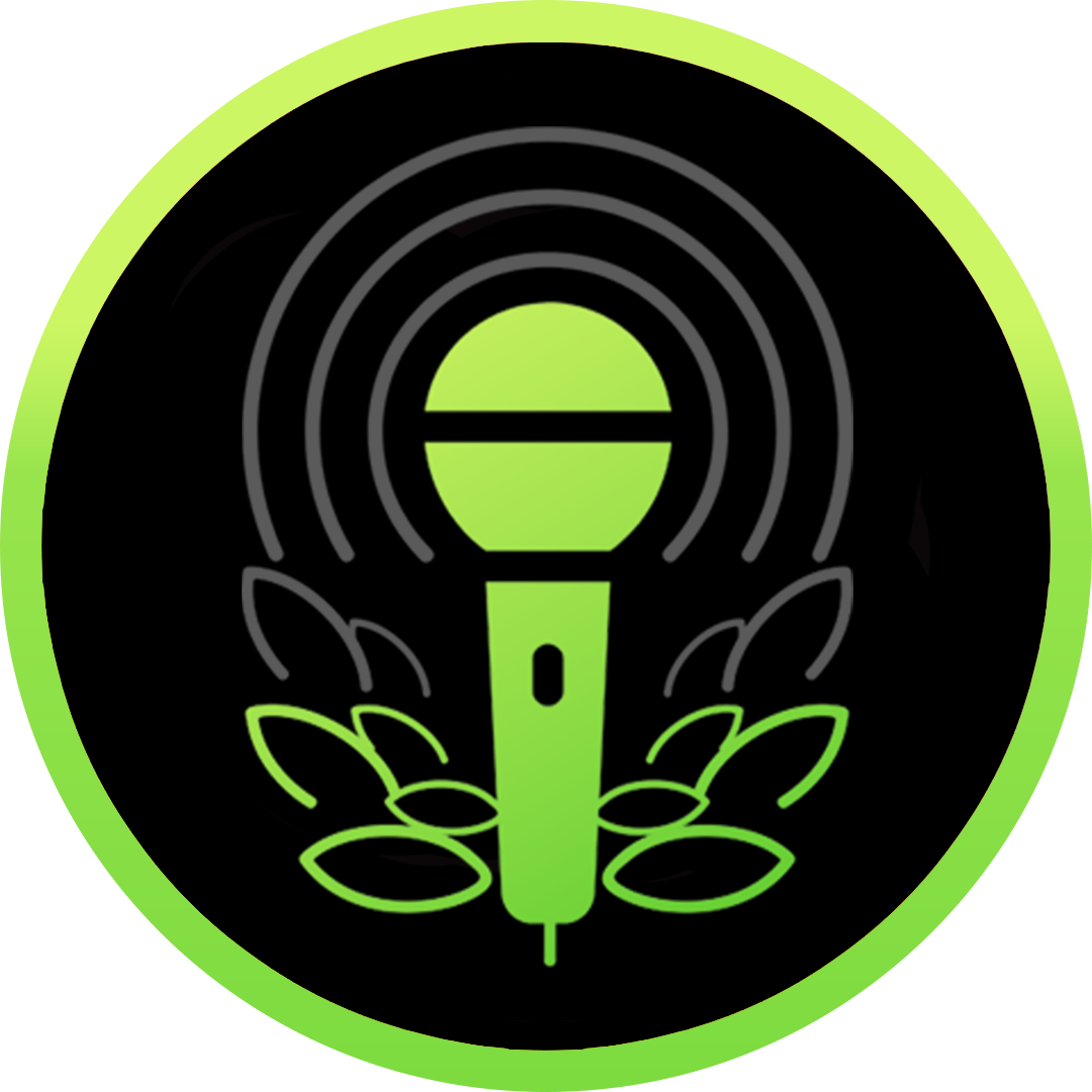 Spotify Canvas Live Ambiance & Atmosphere